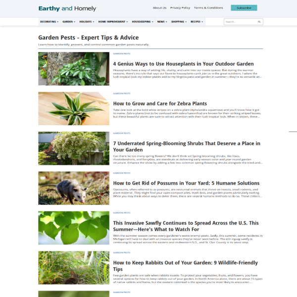 Earthy and Homely website design by K9 Advertisement